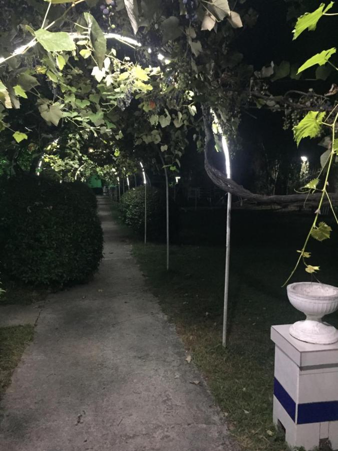Baza Otdyha Miya Hotel Gudauta Exterior foto