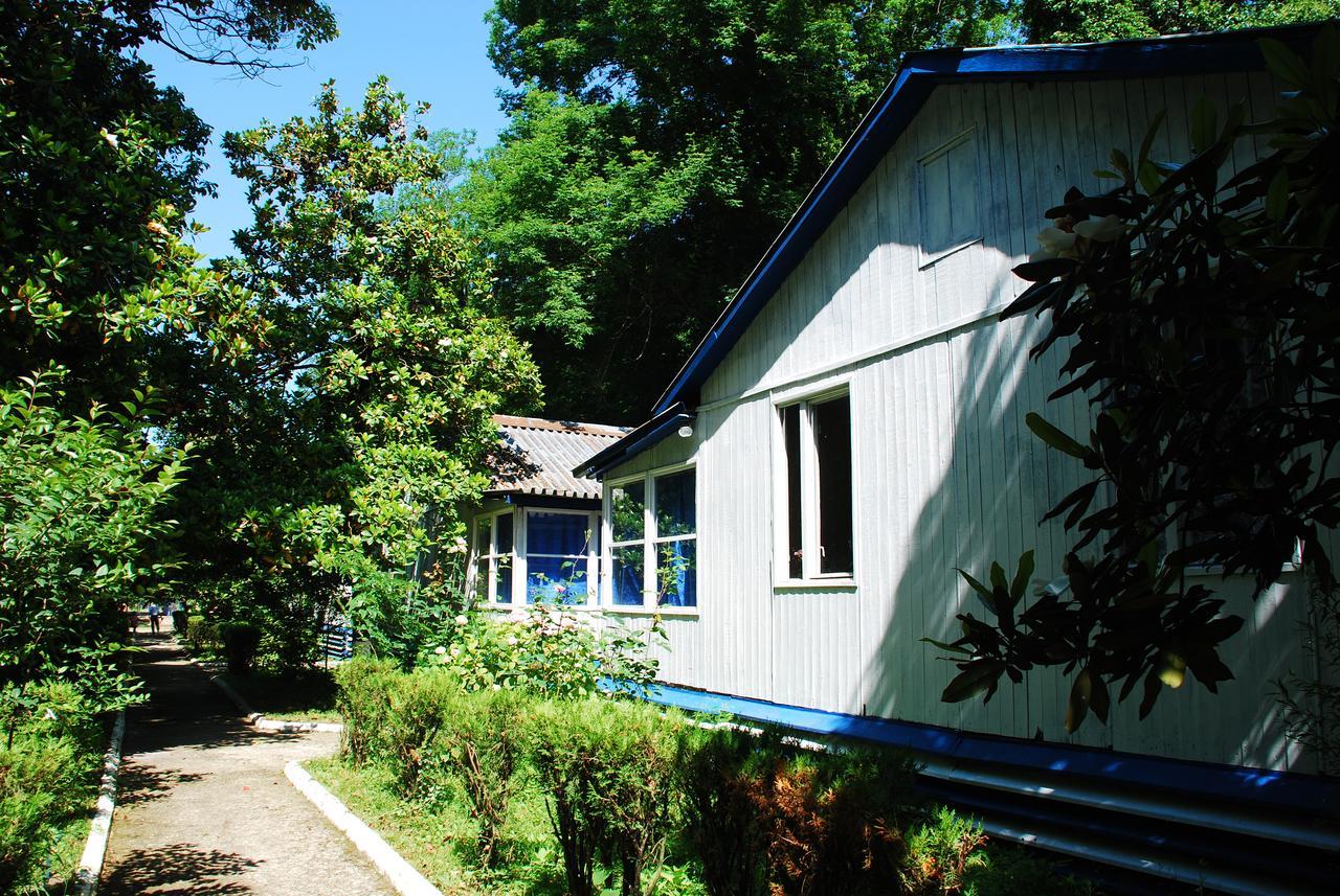 Baza Otdyha Miya Hotel Gudauta Exterior foto